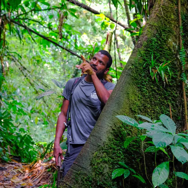 Ludovic Accompagnateur en moyenne montagne Kaïali Excursions Ajoupa-Bouillon Martinique