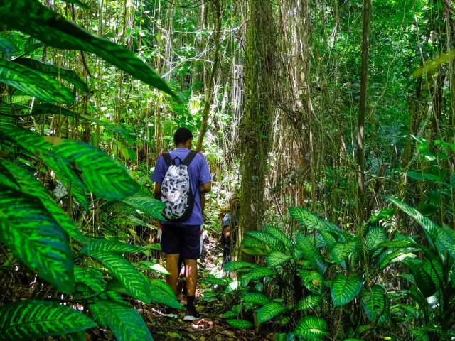 Guide de randonnée Kaïali Excursions Ajoupa-Bouillon Martinique