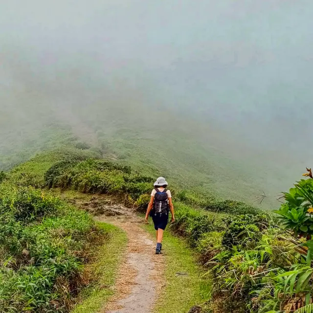 Randonnée Montagne Pelée Kaïali Excursions Martinique