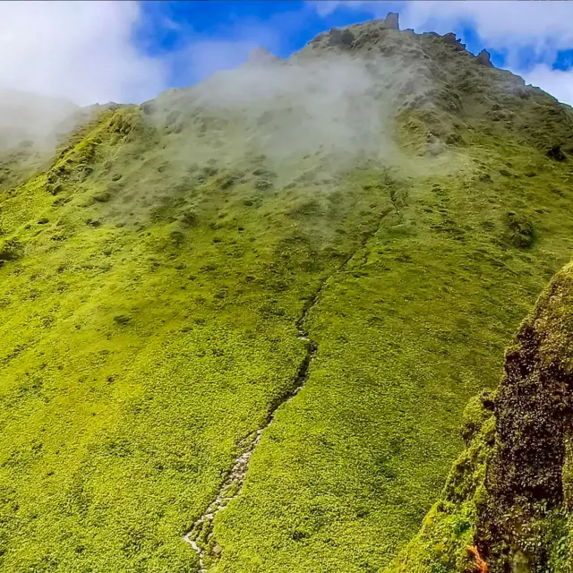 Randonnée Montagne Pelée Kaïali Excursions Martinique
