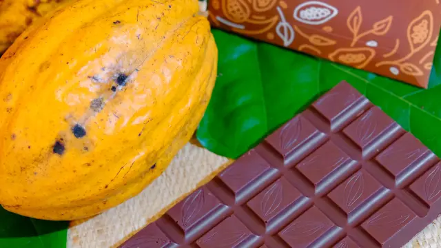 Tablette de chocolat K'Féco Robert Martinique