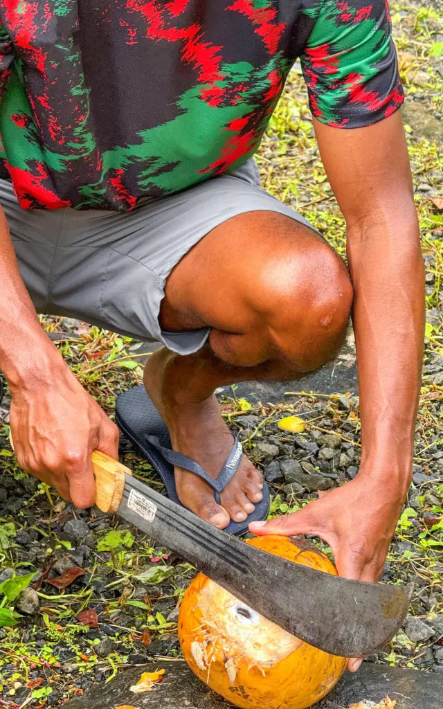 Noix de coco Foujè Béni Bivouacs Martinique