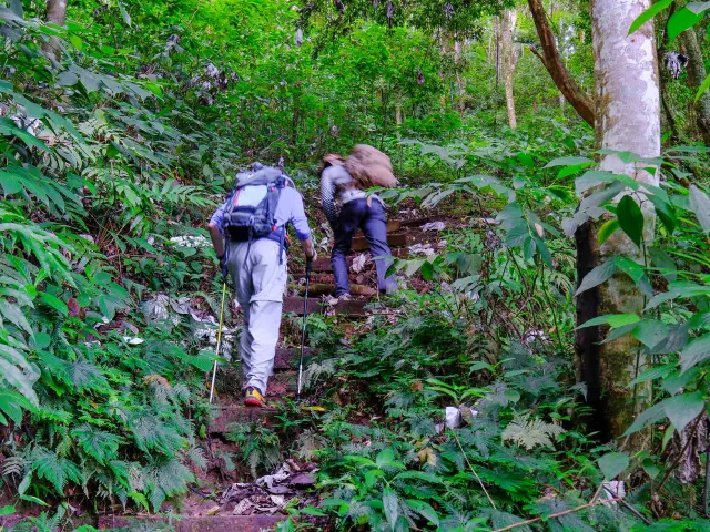 Guide de randonnée Foujè Béni Piton du Carbet Martinique