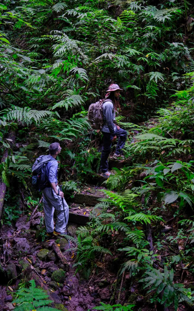 Guide de randonnée Foujè Béni Piton du Carbet Martinique