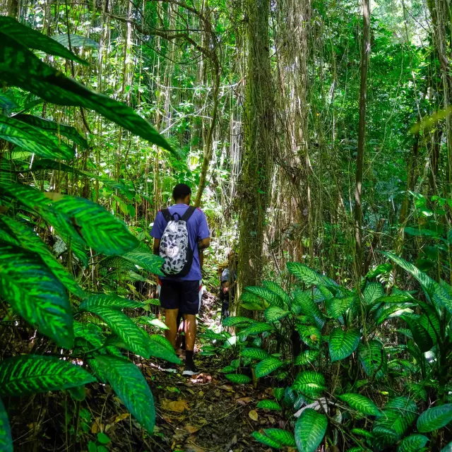 Guiderandonnee Kaiali Ajoupabouillon Martinique