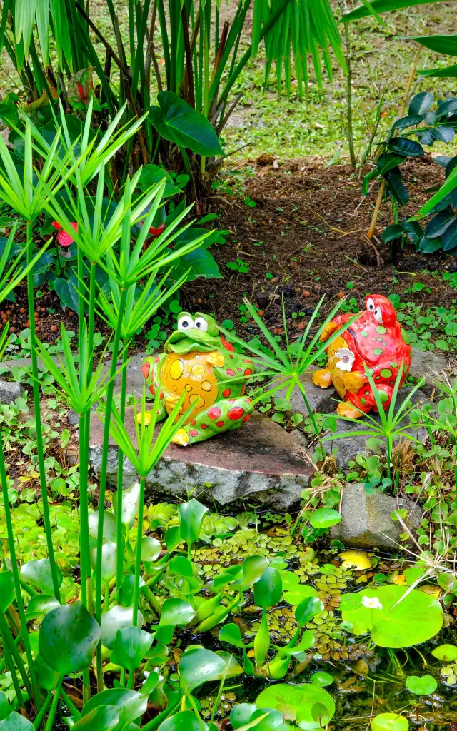 Bassin Jardin Les Sales Gosses Trois-îlets Martinique