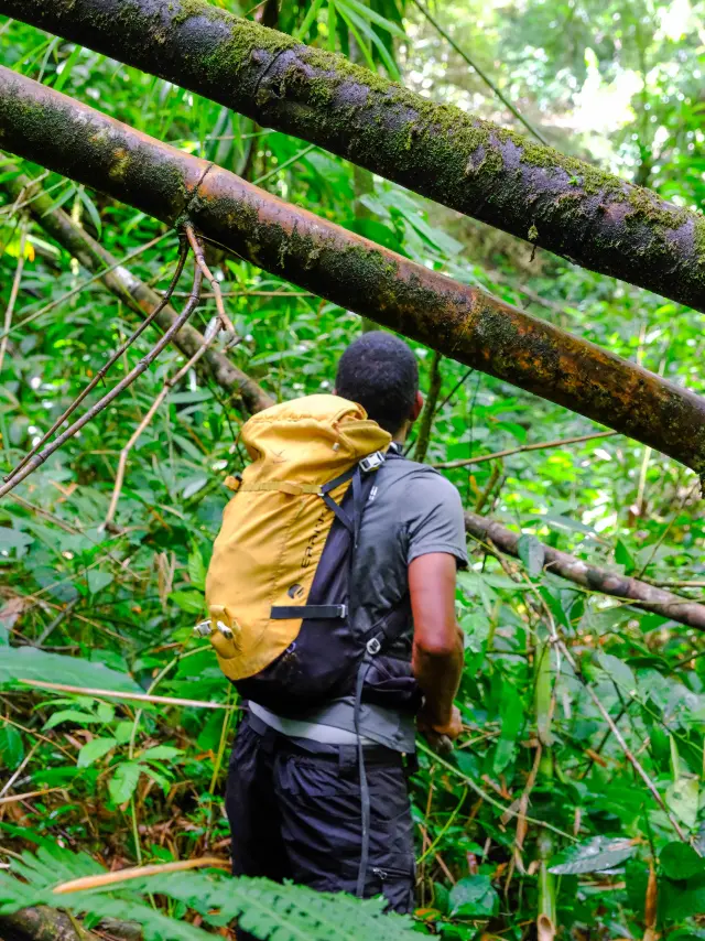 Randonnee Cascadedany Kaiali Ajoupabouillon Martinique