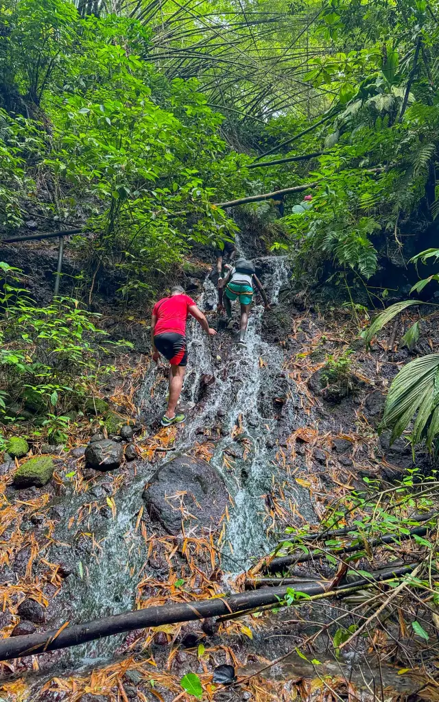 Randonnee4 Cascadedany Kaiali Ajoupabouillon Martinique