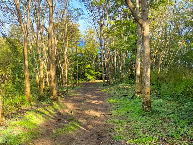 Randonnée Anse à l'Ane Anse Noire Trois-îlets Martinique