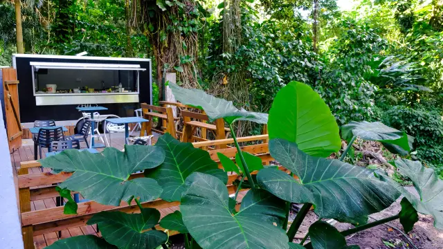 Foodtruck Hôtel Habitation Anse Couleuvre Prêcheur Martinique