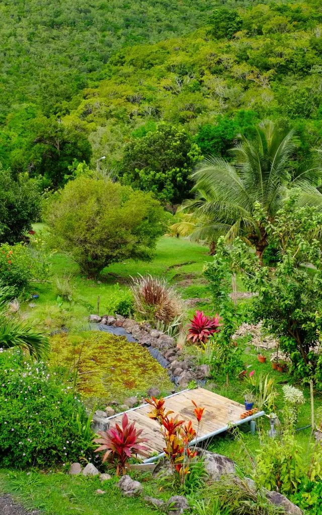 Jardin Jo'z le rêve Anses d'Arlet Martinique
