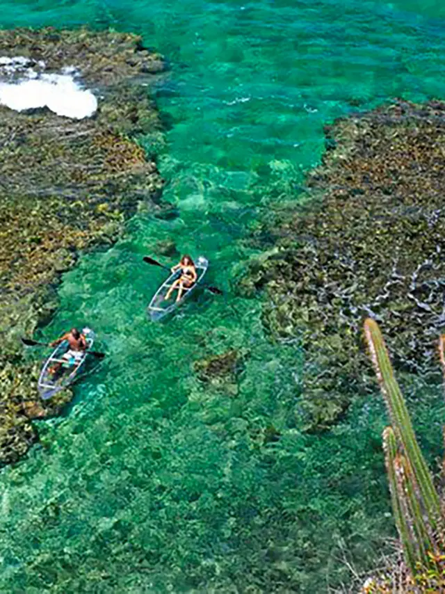 Kayak transparent Fleurdo Vauclin Martinique