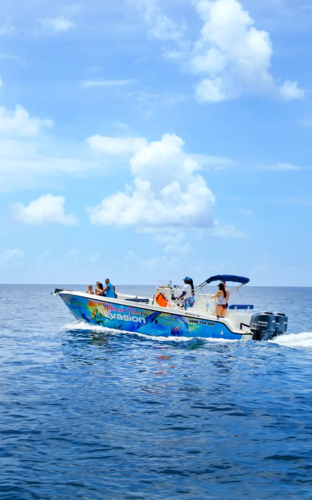 Bateau d’excursion Dream Tour Evasion Patience 972 naviguant en mer des Caraïbes Martinique