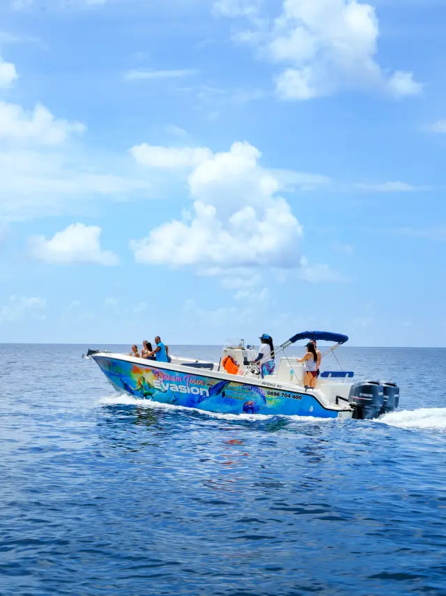 Bateau d’excursion Dream Tour Evasion Patience 972 naviguant en mer des Caraïbes Martinique
