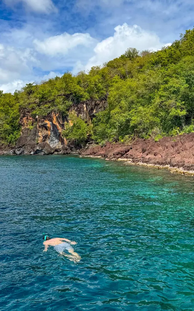 Moment snorkeling avec tortues marines et poissons tropicaux excursion Dream Tour Evasion Martinique