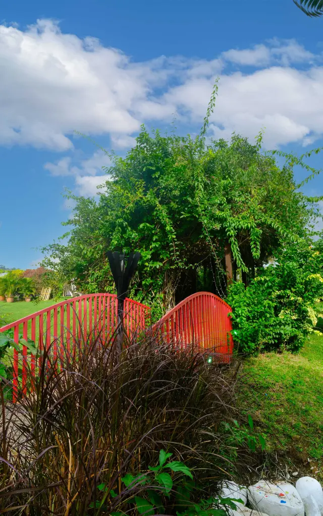 Jardin tropical fleuri de l’Habitation Belfort Lamentin Martinique végétation exotique