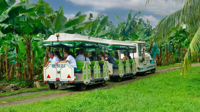 Visite en train Habitation Belfort Lamentin Martinique