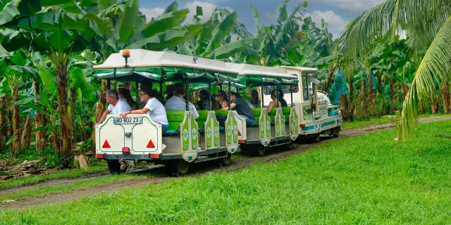 Visite en train Habitation Belfort Lamentin Martinique