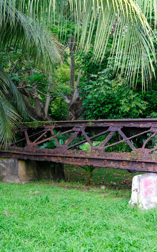 Vestige Habitation Belfort Lamentin Martinique