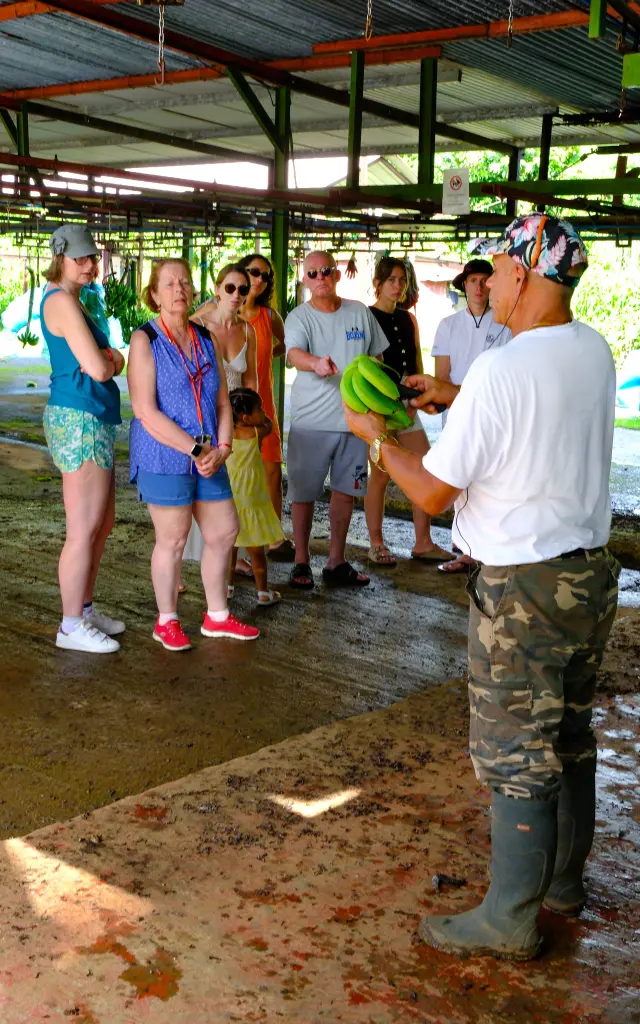 Visite guidée dans une usine à banane Habitation Belfort Lamentin Martinique
