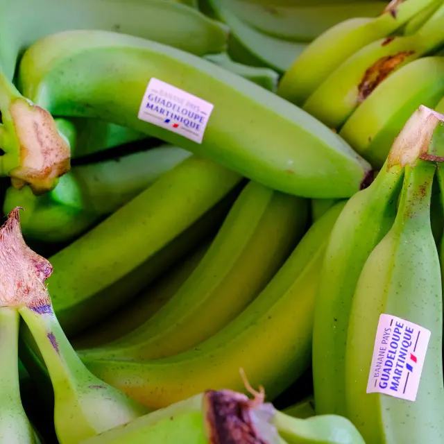 Patte de banane bio de Martinique et de Guadeloupe