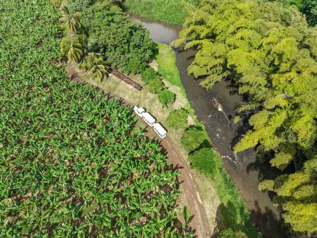Visite en train dans les champs de banane Habitation Belfort Lamentin Martinique