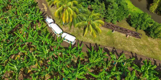 Petit train touristique serpentant dans les bananeraies de l’Habitation Belfort au Lamentin Martinique