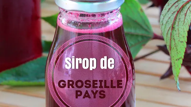 Sirop Groseille pays Martinique