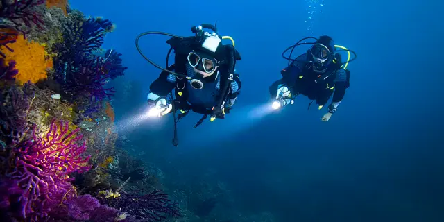 Plongée de nuit Martinique