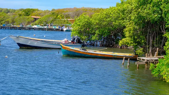 Bateaux Yole de pêche Cap Chevalier Sainte-Anne Martinique
