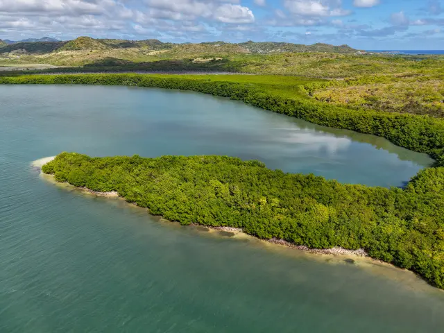 Plage des amoureux mangrove et sable blanc visités lors de l’excursion Bébêche Martinique