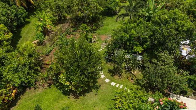 Jardin tropical luxuriant de l’Habitation Kaz à Vanilles à Trinité Martinique vanilleraie et épices