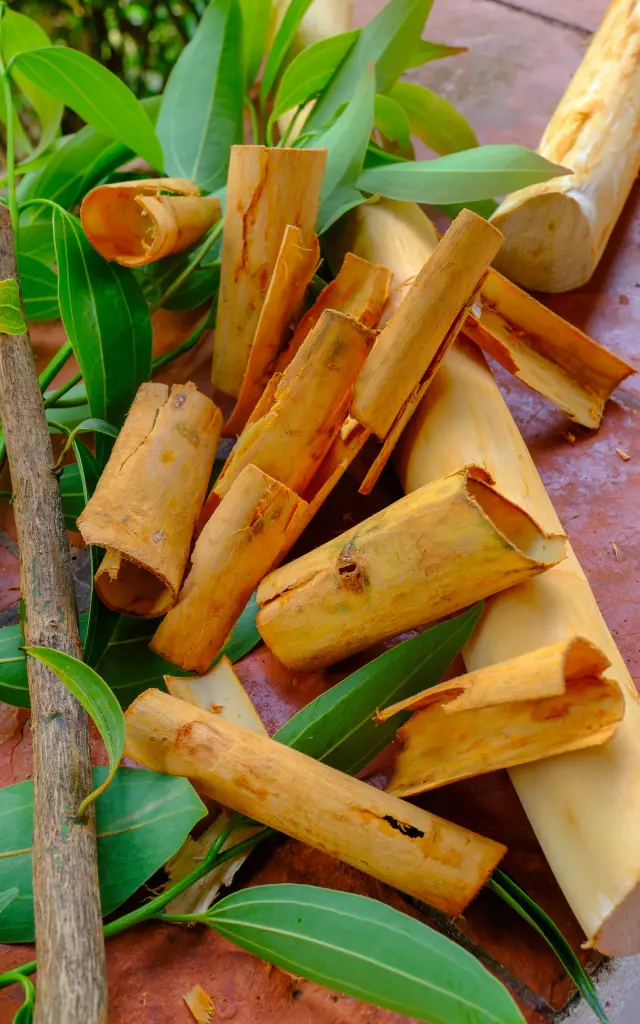 Atelier traditionnel de cannelle à Kaz à Vanille Trinité Martinique savoir-faire créole