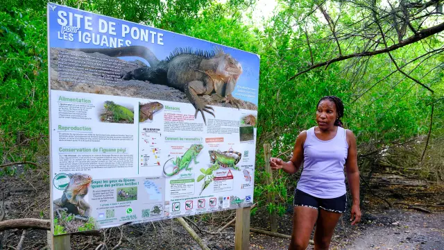 Ilet Chancel Robert Martinique