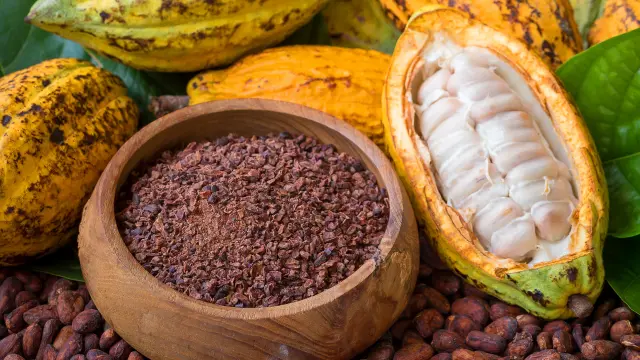 Cabosse, Fève et Grué de cacao Martinique