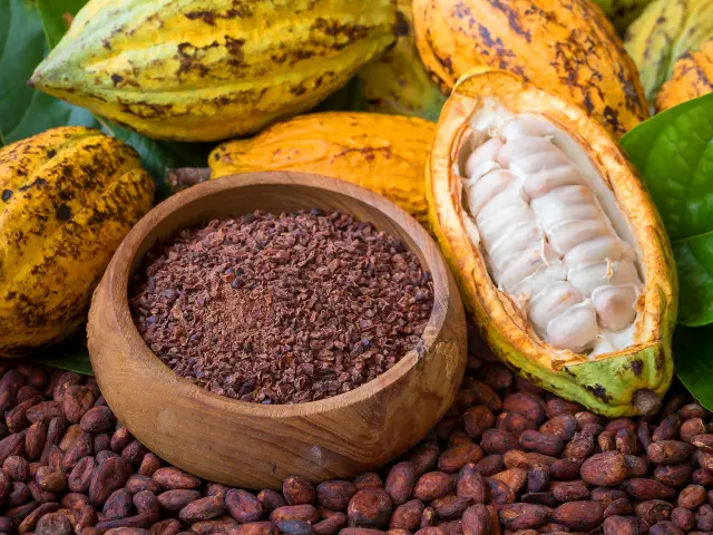 Cabosse, Fève et Grué de cacao Martinique