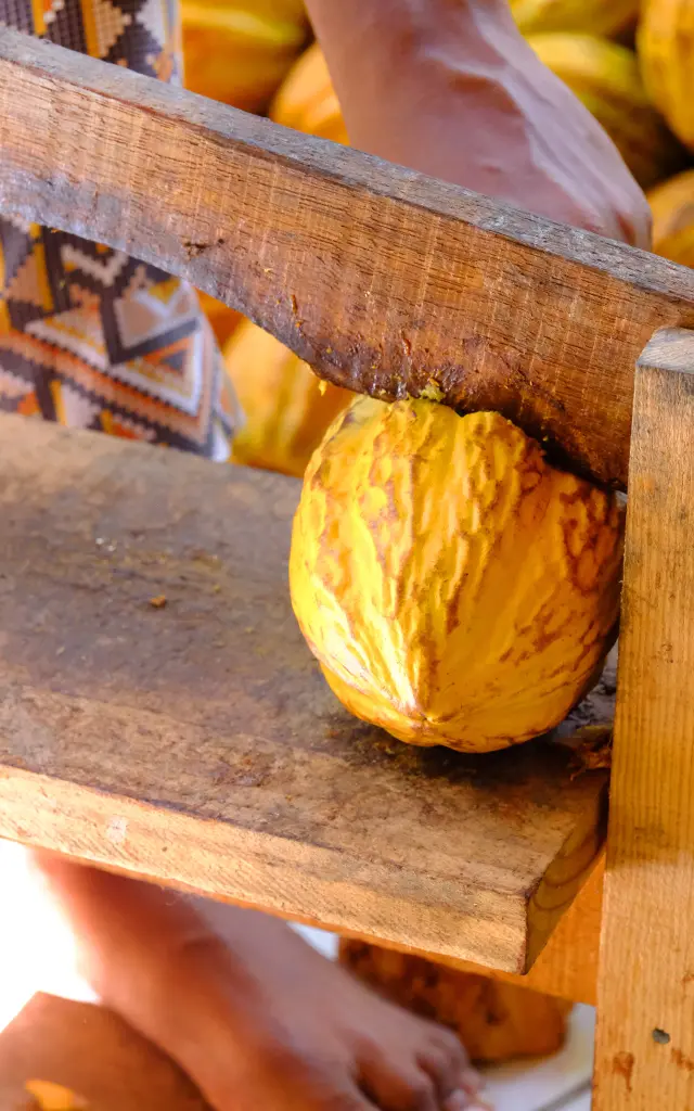 Écabossage Cacao Martinique