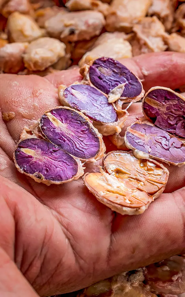 Intérieur de la Fève de cacao Martinique