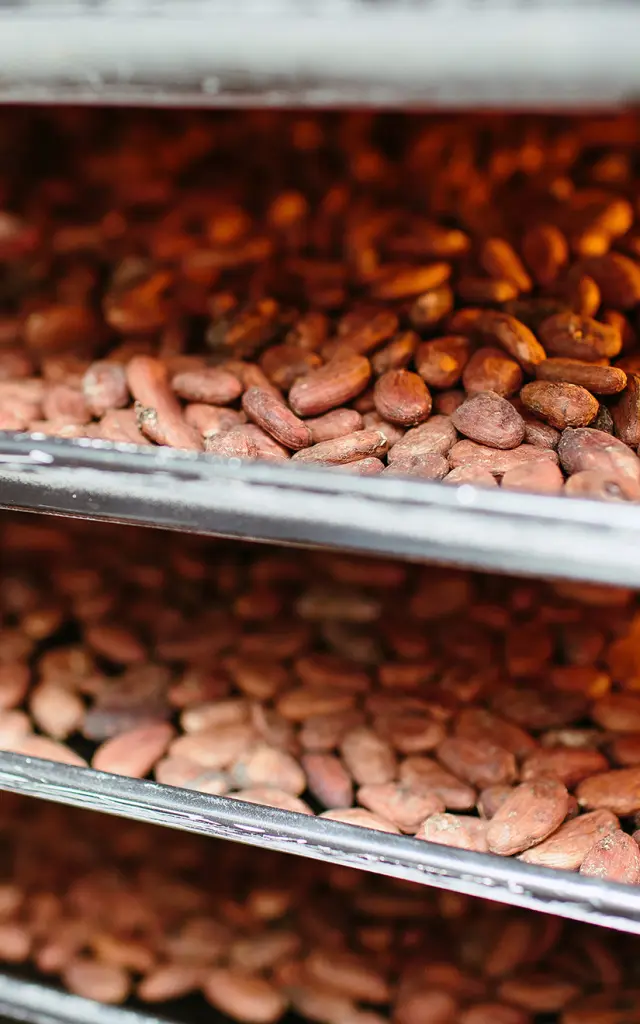 Torréfaction Cacao Martinique
