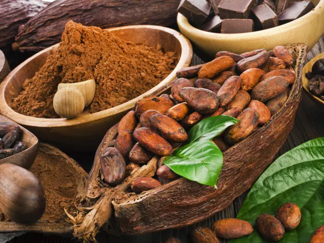 Cacao sous toute ses formes Cabosse Fève Poudre Martinique