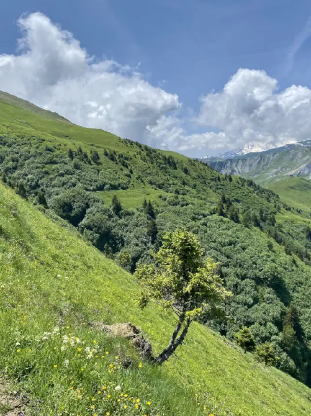 Verticale Grand Truc