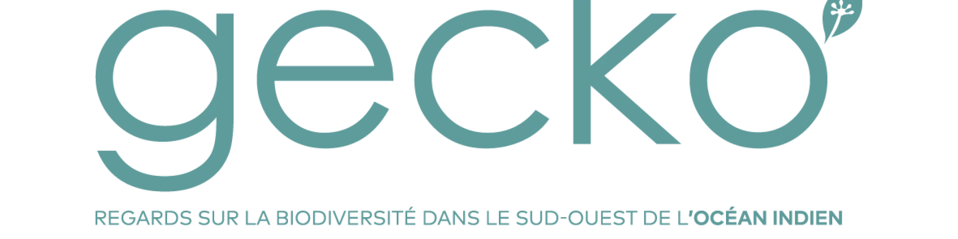 Gecko Logo Vert Bleu