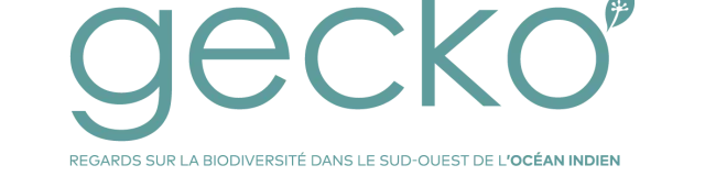 Gecko Logo Vert Bleu