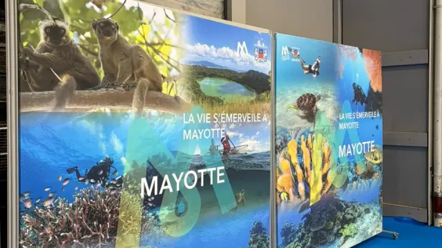 Salon De La Plongee 4