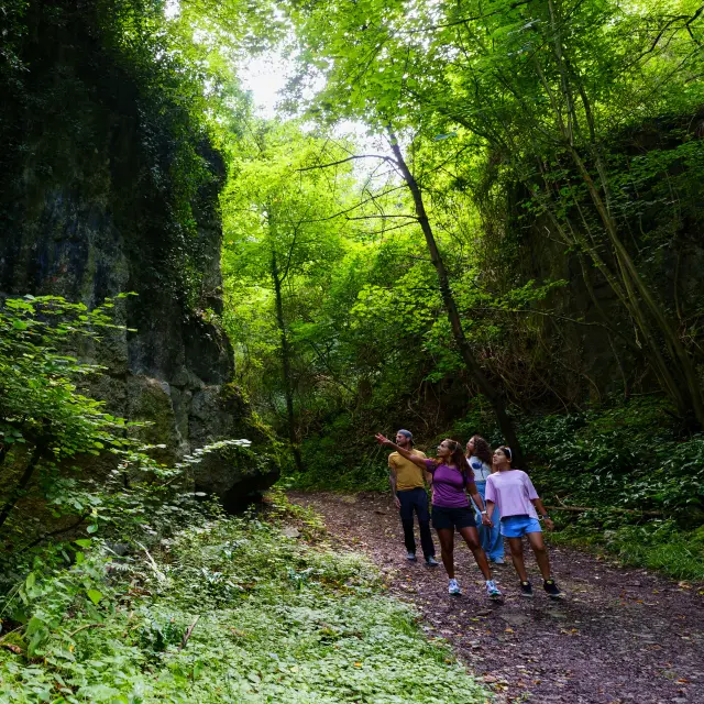 Hainaut Tourisme Labuissiere 28072025 010