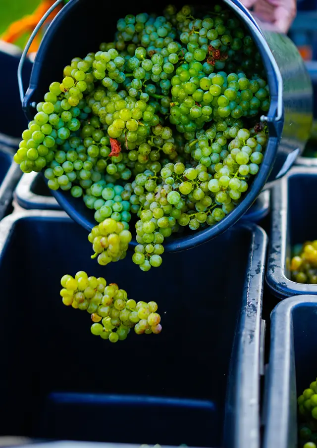 Hainaut Tourisme 10092025 015