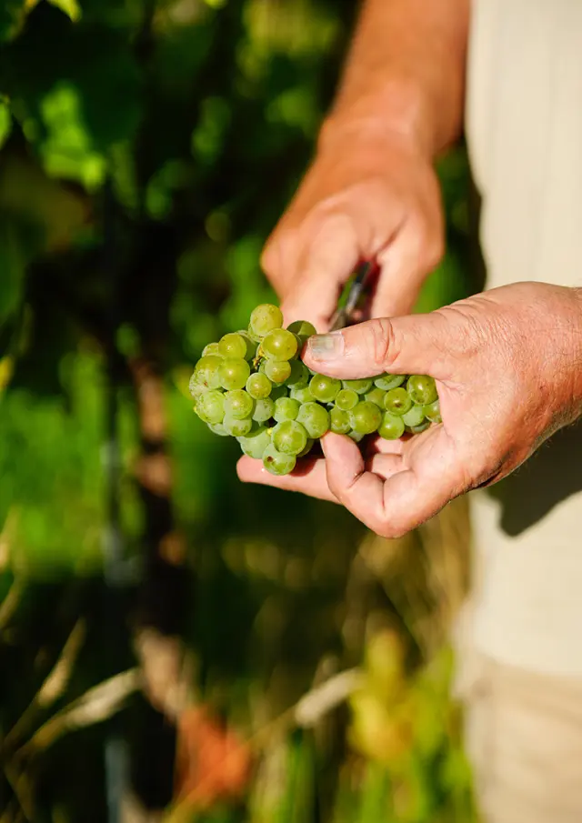 Hainaut Tourisme 10092025 045