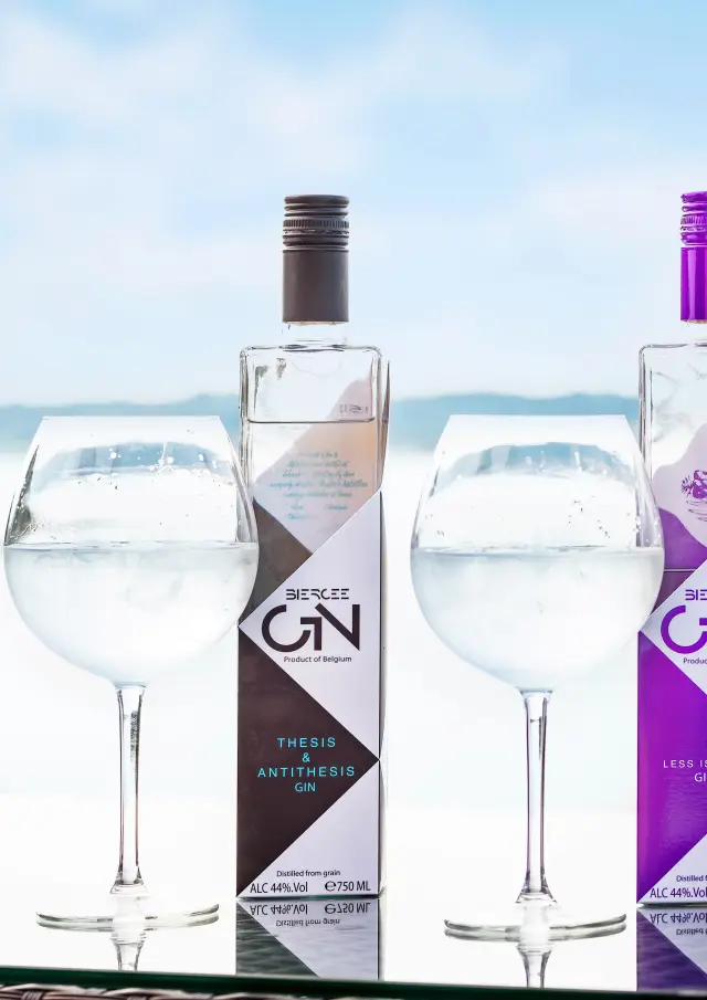 Hainaut 2017 Pays Des Lacs 09 1