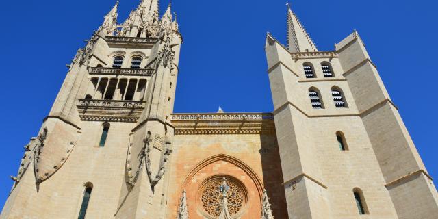 Cathedrale 1