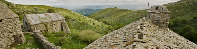 Mont-Lozère - Cévennes (48)